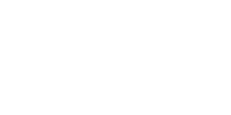 Pioneer